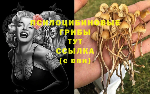 мескалин Абинск