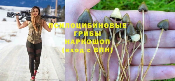 гидра Алексин